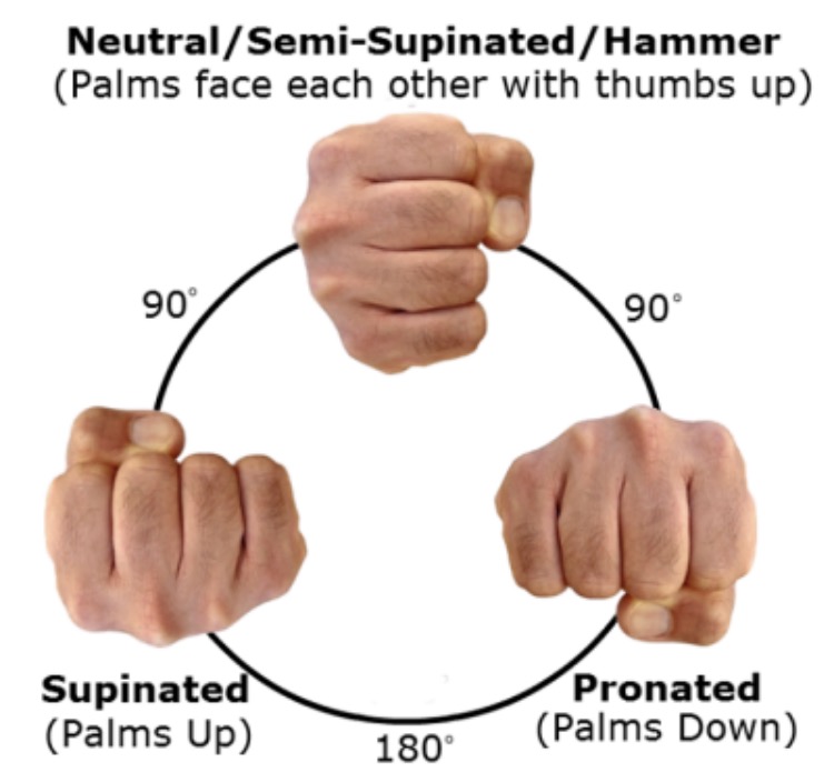 Image result for supinated grip